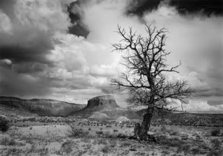 Ghost Ranch