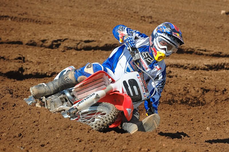 IMAGE: http://i61.photobucket.com/albums/h60/bryno74/05-31-2008-0360.jpg