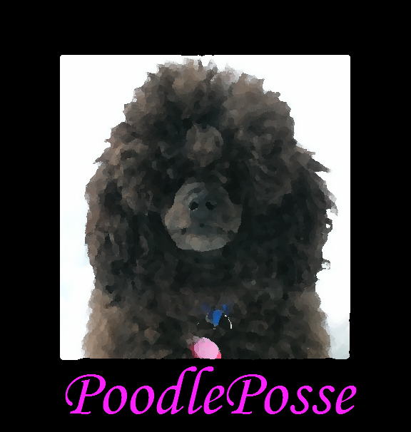PoodlePosse Madame Bovary