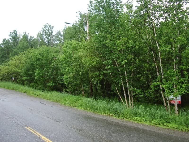 c9ef17f3.jpg