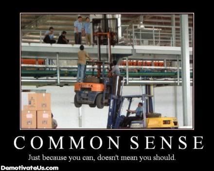 common-sense-demotivational-poster.jpg image by freecodesource