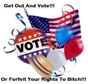 http://i61.photobucket.com/albums/h63/freecodesource/political/vote%20buttons/voteandbitch.jpg