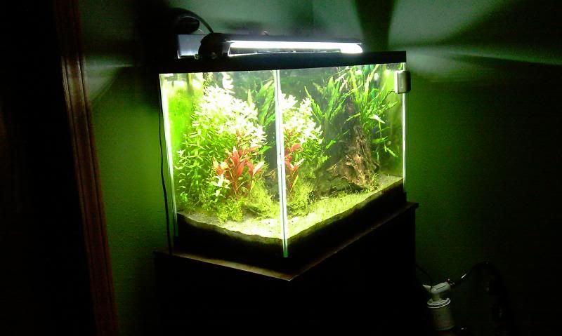 finnex led owners unite