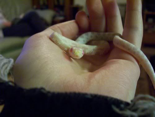 smallbaby.jpg