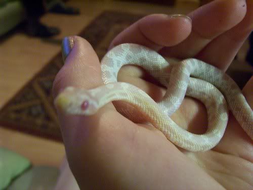 smallbaby2.jpg