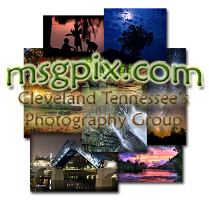 msgpix.com photo group