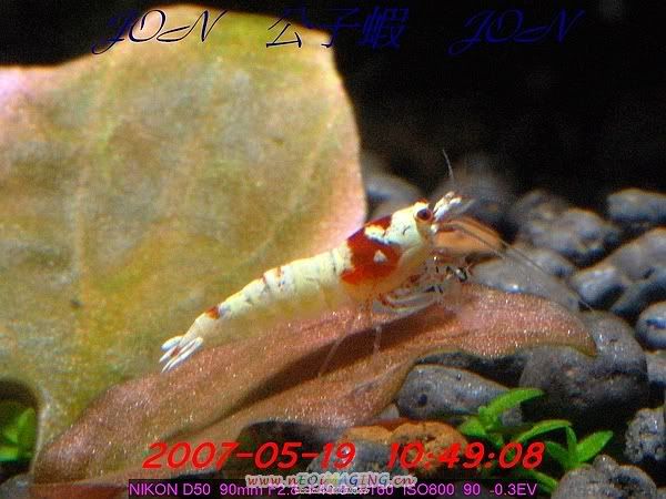 圖檔