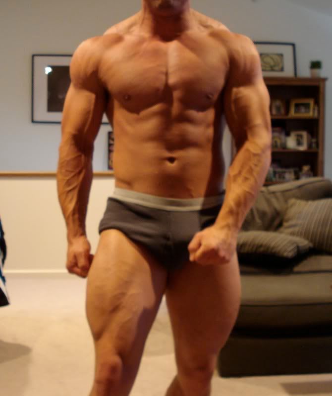 muscular2.jpg