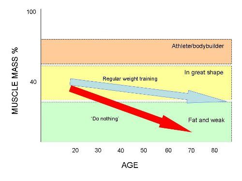 Diagram showing muscle building scenarios