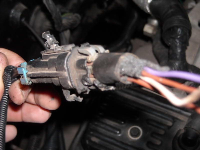 LT1 wiring/identification help needed | NastyZ28.com