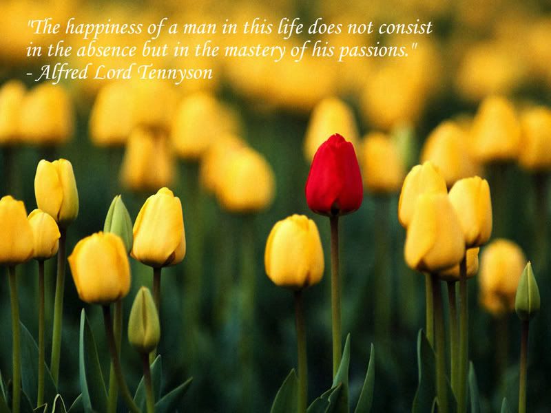 quotes about happiness images. Happiness Quotes lt;/agt;