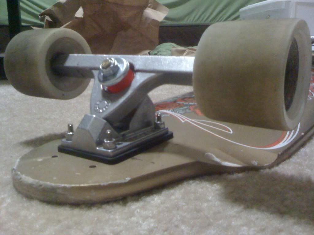 blood orange bushings