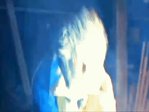 marv.gif