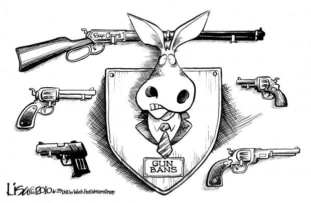 Gun Bans by Lisa Benson