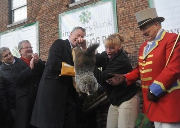 Goony Mayor de Blasio kills groundhog photo bill-de-blasio-groundhog_zpsdb201052.jpg