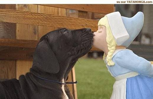 Photobucket - Video and Image Hosting