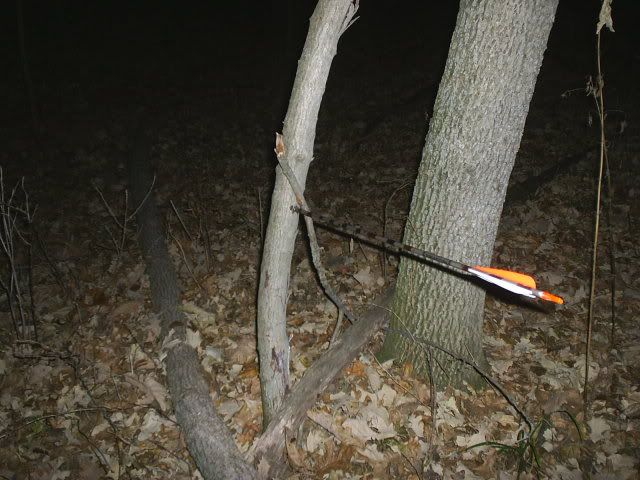 2005deerhunts068.jpg