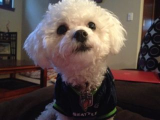 Uploaded from the Photobucket iPhone App