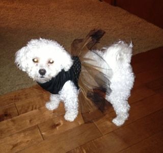 Uploaded from the Photobucket iPhone App