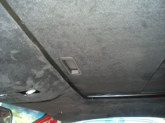 DSC05290.jpg