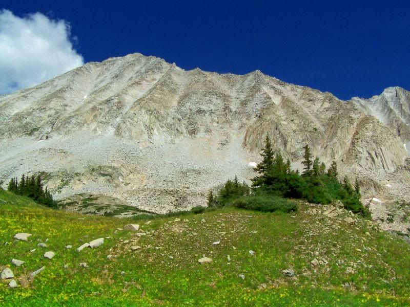 100_6395.jpg