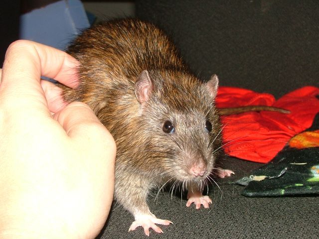 external image aug15Marsky.jpg