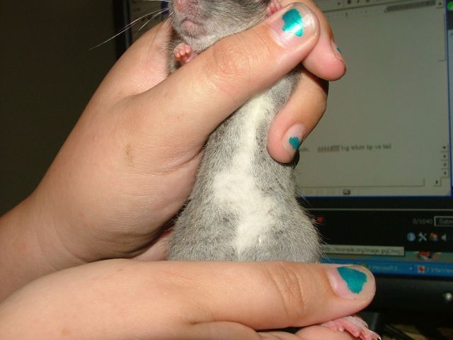 external image aug13Maebelly.jpg external image aug13Maebelly.jpg