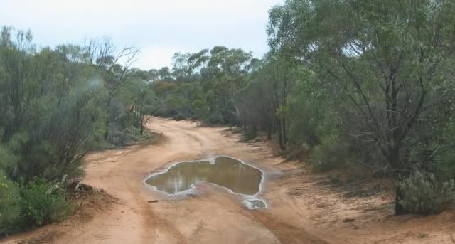 Puddle Win