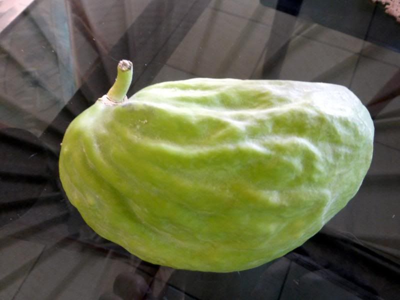 photo newfruit_zps5fe9f978.jpg