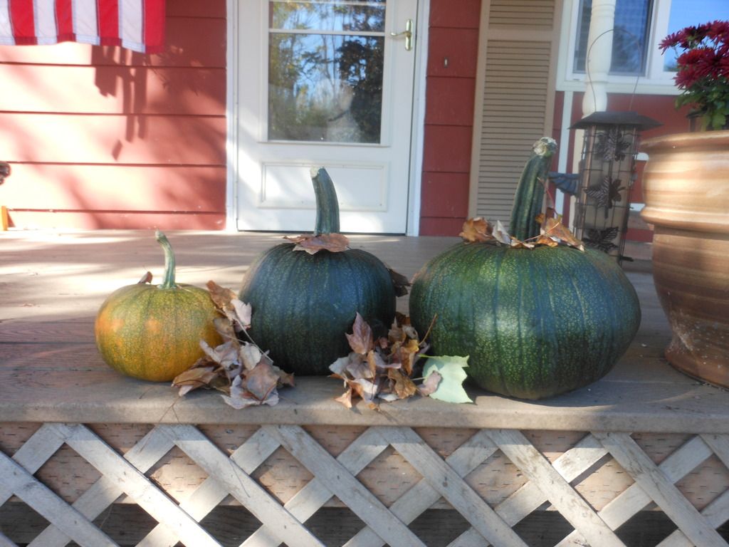 My porch in Fall