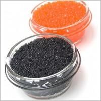 caviar & salmon roe