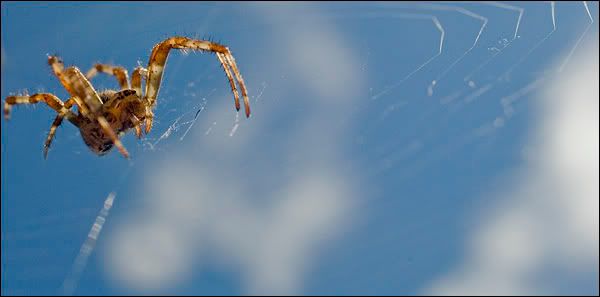 http://i61.photobucket.com/albums/h78/tweakerpiet/spin-1.jpg http://i61.photobucket.com/albums/h78/tweakerpiet/spin-1.jpg