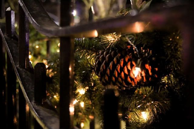 IMAGE: http://i61.photobucket.com/albums/h80/mx22o/IMG_0254Medium-1.jpg