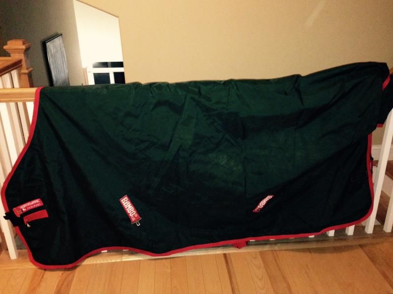 Size 84 Rambo Turnout Sheet and Heavy Blanket for sale The Horse Forum