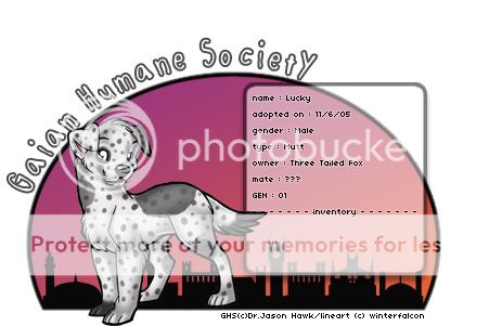 User Image