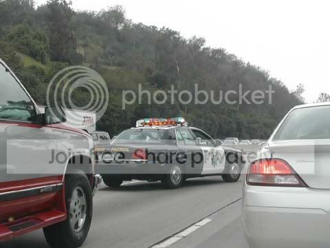 cops01.jpg