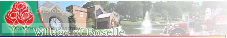 thisroselle.jpg