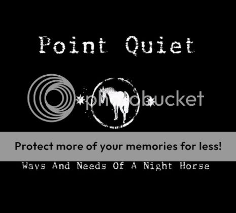Point Quiet - Ways And Needs Of A Night Horse