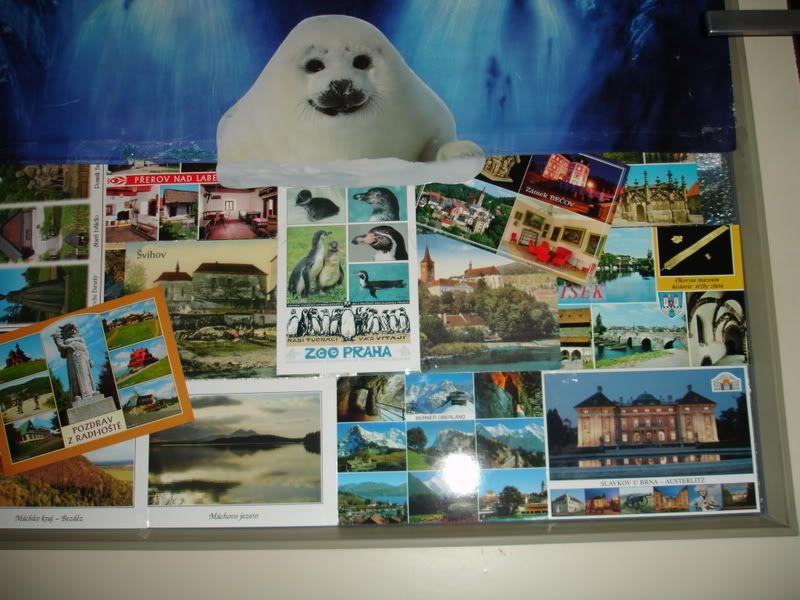 Photo Sharing and Video Hosting at Photobucket