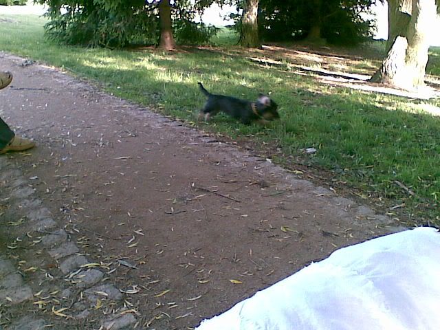 hafan