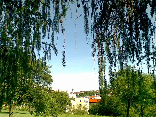 pohled