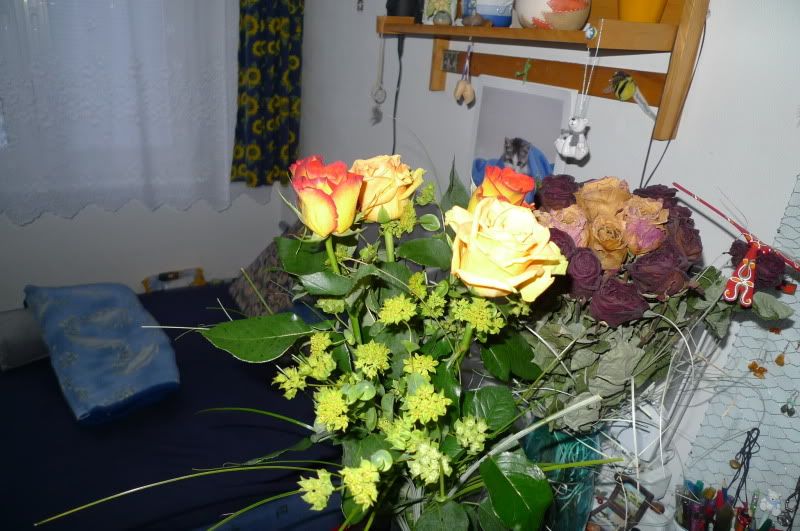 rose2