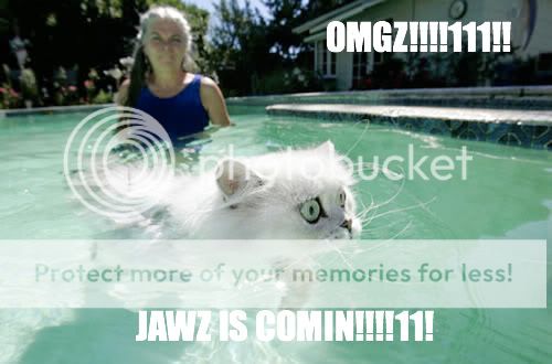 swimming-cat-lolcat.jpg image by freecodesource