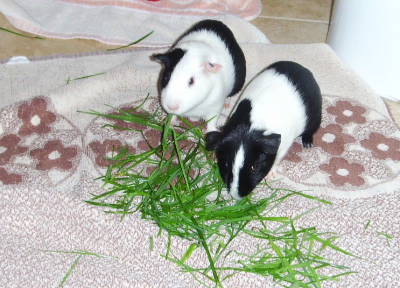 PIC_1328.jpg