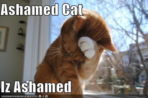 photo ashamed cat_zpsru6bkkcl.jpg