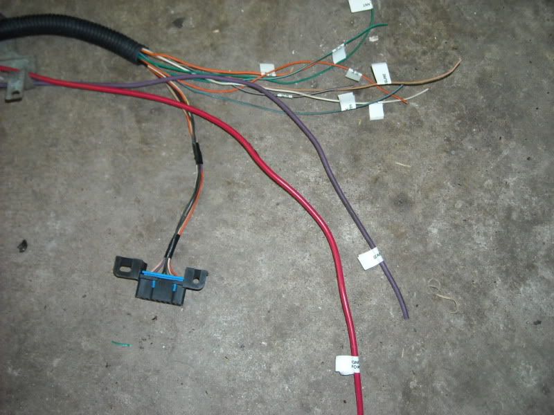 LT1 wiring/identification help needed | Page 2 | NastyZ28.com