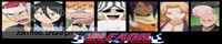 Bleach Lovers Association banner